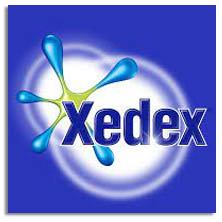 Items of brand XEDEX in GATAZUL